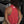 The Standard Crop Top Heather Red
