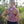 The Standard Crop Top Heather Mauve