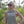 The Standard Crop Top Built Not Given Olive